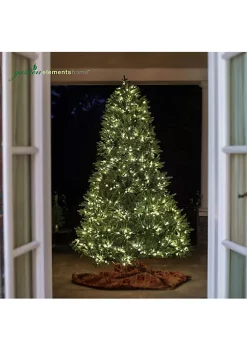 Garden Elements 9' North Star Christmas Tree- 950 LED Lights 10 Garden Elements 9' North Star Christmas Tree- 950 LED Lights -Disney Villains Shirts Shop Belk 1085