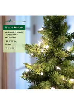 Garden Elements 24" Tin Pot Christmas Tree with 35 Clear Lights -Disney Villains Shirts Shop Belk 1122