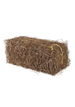 Garden Elements Long Leaf Pine Straw Bale Soil Amendment and Fall Decoration, 12.5 Pounds