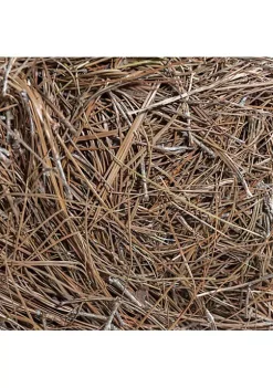 Garden Elements Long Leaf Pine Straw Bale Soil Amendment and Fall Decoration, 12.5 Pounds -Disney Villains Shirts Shop Belk 1260