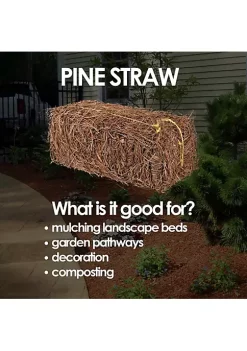 Garden Elements Long Leaf Pine Straw Bale Soil Amendment and Fall Decoration, 12.5 Pounds -Disney Villains Shirts Shop Belk 1261