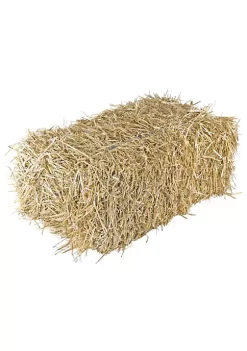 Garden Elements Straw Bale by Shady Creek Farm, Perfect for Fall Decoration, Garden Mulch, Animal Bedding, Mushroom Cultivation, Grass Seed Growing (22")