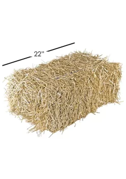 Garden Elements Straw Bale by Shady Creek Farm, Perfect for Fall Decoration, Garden Mulch, Animal Bedding, Mushroom Cultivation, Grass Seed Growing (22") -Disney Villains Shirts Shop Belk 1284