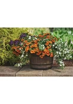 Garden Elements Mini Whiskey Barrel Plastic Planter, Dark Oak, 10 -Disney Villains Shirts Shop Belk 1361