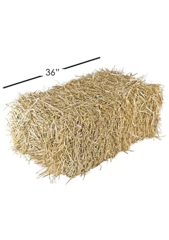 Garden Elements Straw Bale by Shady Creek Farm, Multi-Use for Farm & Home (30-36") -Disney Villains Shirts Shop Belk 1416
