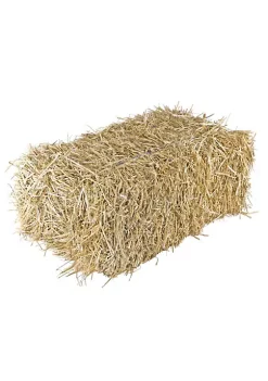 Garden Elements Straw Bale by Shady Creek Farm, Multi-Use for Farm & Home (30-36") -Disney Villains Shirts Shop Belk 1418