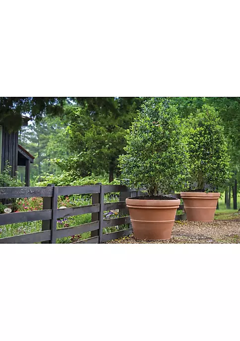 Garden Elements (#BC2614SC34) Turin Plastic Outdoor Round Planter, Terra Cotta, 14" 3 Garden Elements (#BC2614SC34) Turin Plastic Outdoor Round Planter, Terra Cotta, 14" - Image 3